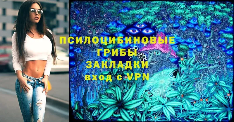 KRAKEN ссылки  Краснозаводск  Галлюциногенные грибы Psilocybine cubensis 